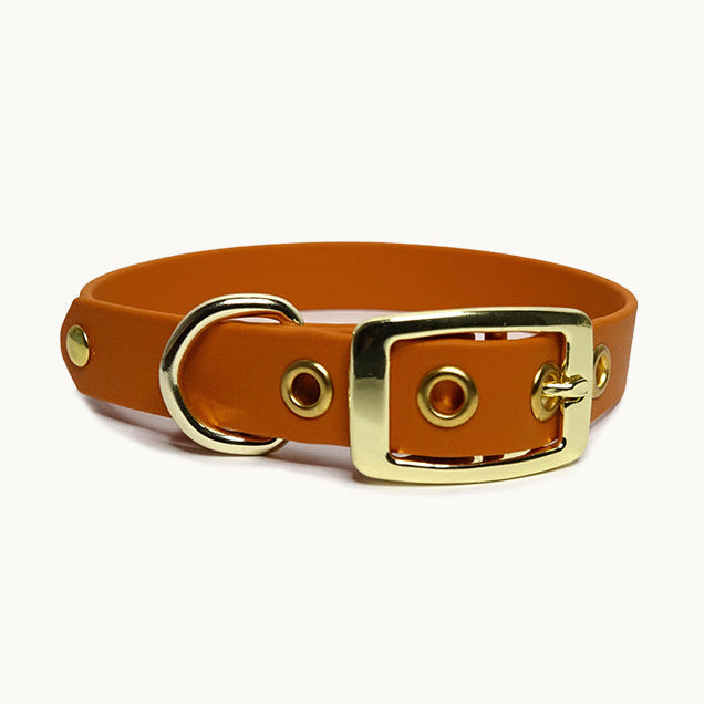 Collier classique en biothane - Tangerine